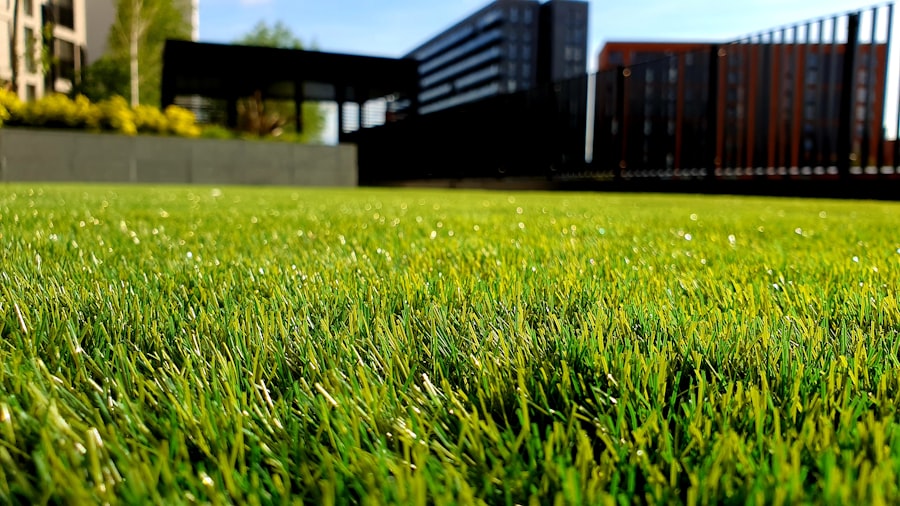 Freshly mown grass cut to an even height